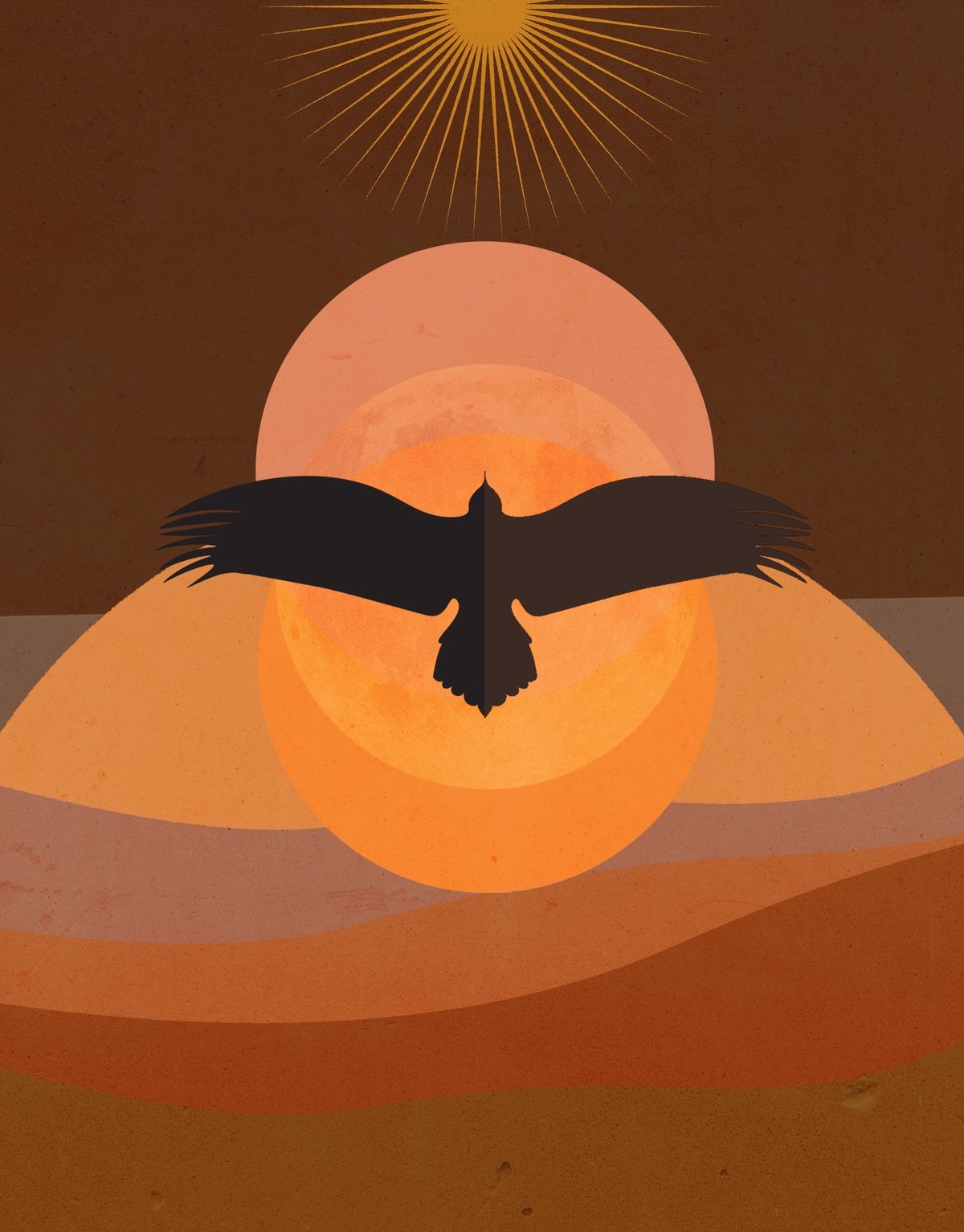 A condor crossing the sun